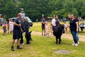 Andrang beim Ponyreiten -c- Museumsdorf Hösseringen