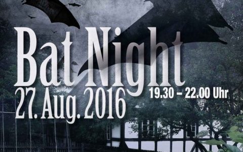 Bat-Night_A4-Plakat