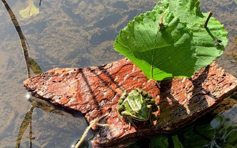 Foto --- Schiffchen Ahoi