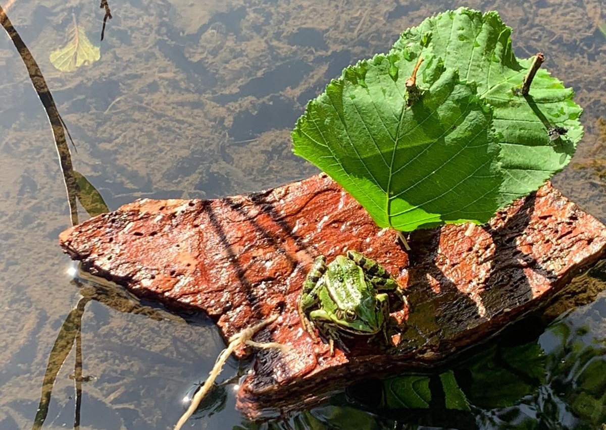 Mitmachaktion: Schiffchen Ahoi! ...Boote bauen