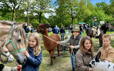 Foto --- Tag der Tiere