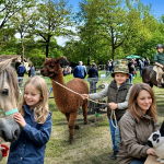 Tag der Tiere