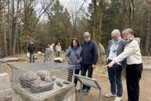 Im Ausstellungsgelände - Reibesteine, Steinbeile und Kanonenkugel, Ausstellungsbesucher -c-Museumsdorf-Hösseringen