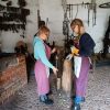 In der historischen Dorfschmiede erleben die Kinder das alte Handwerk des Schmiedens und können anschließend kleine Objekte selbst Hand anlegen. [PDF]