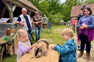 Spass mit Japaner-Kaninchen -c- Museumsdorf Hösseringen