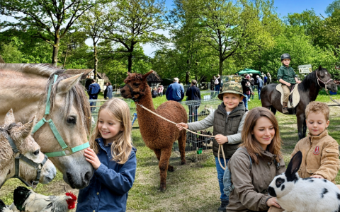 tag-der-tiere-foto-heidetrommel-2026-c-museumsdorf-hoesseringen