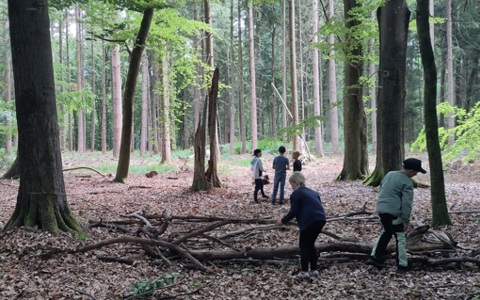 Walderlebnisfreizeit für Kinder